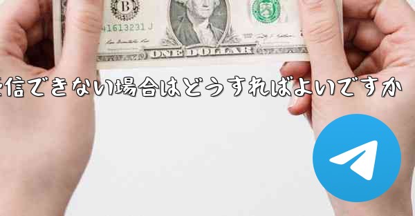 Paper Plane の携帯電話番号でテキスト メッセージを受信できない場合はどうすればよいですか