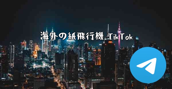 海外の紙飛行機 TikTok