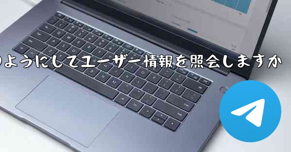 Paper Plane はどのようにしてユーザー情報を照会しますか