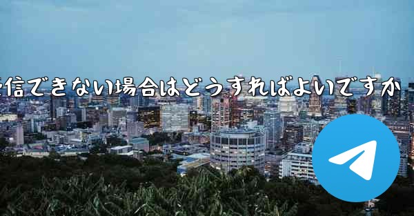 Paper Plane が Vivo で認証コードを受信できない場合はどうすればよいですか