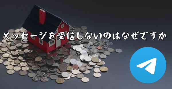 Paper Plane が確認テキスト メッセージを受信しないのはなぜですか