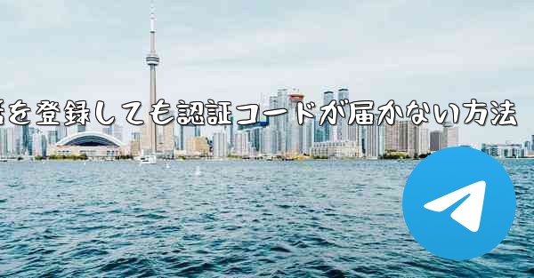 Paper Plane 中国の携帯電話を登録しても認証コードが届かない方法