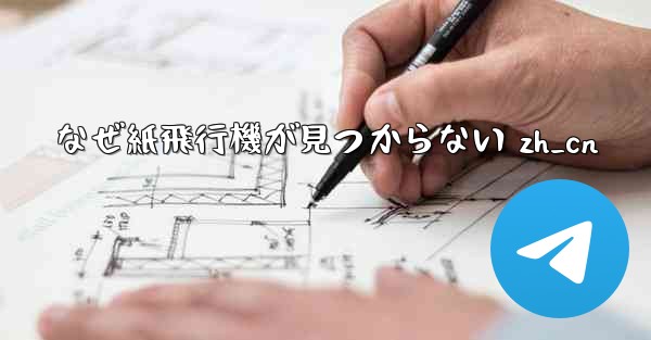 なぜ紙飛行機が見つからない zh_cn