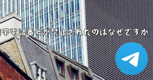 Paper Plane の携帯電話番号が禁止されたのはなぜですか