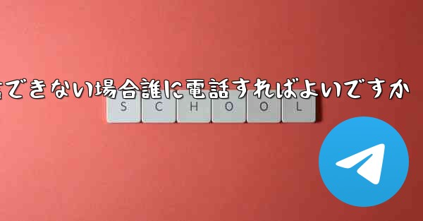 Paper Plane が確認テキスト メッセージを受信できない場合誰に電話すればよいですか