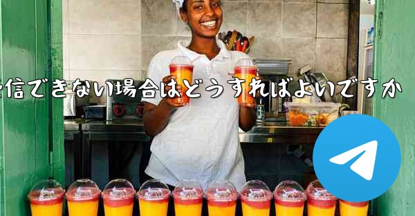 iPhone の紙飛行機で認証コードを受信できない場合はどうすればよいですか