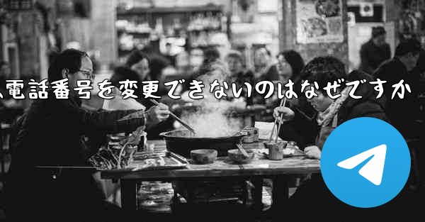 Paper Plane では電話番号を変更できないのはなぜですか