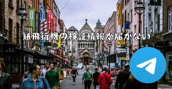 紙飛行機の検証情報が届かない