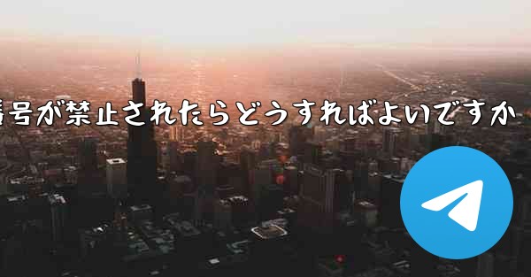私の紙飛行機の携帯電話番号が禁止されたらどうすればよいですか