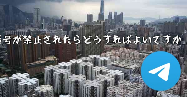 私の紙飛行機の番号が禁止されたらどうすればよいですか