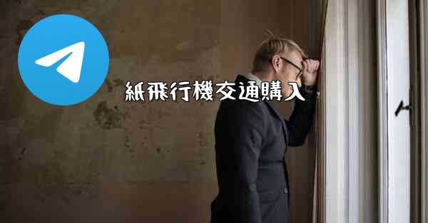 紙飛行機交通購入