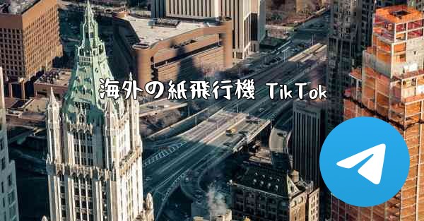 海外の紙飛行機 TikTok