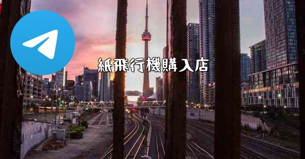 紙飛行機購入店