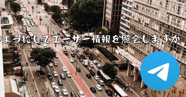 Paper Plane はどのようにしてユーザー情報を照会しますか