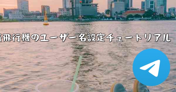 紙飛行機のユーザー名設定チュートリアル