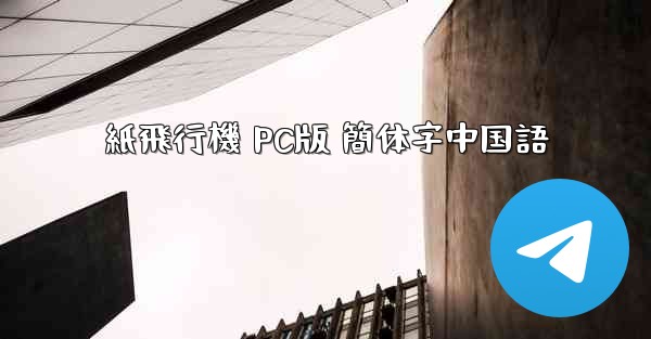 紙飛行機 PC版 簡体字中国語