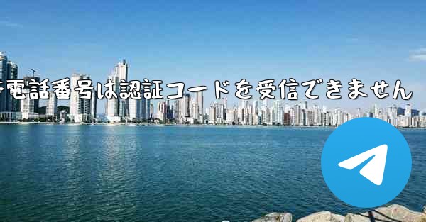 Paper Plane の携帯電話番号は認証コードを受信できません