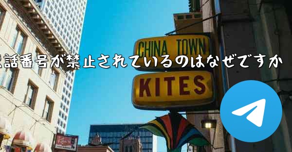 Paper Plane の携帯電話番号が禁止されているのはなぜですか