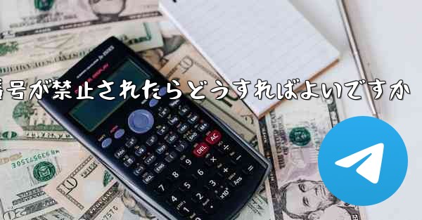 私の紙飛行機の携帯電話番号が禁止されたらどうすればよいですか