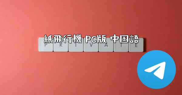 紙飛行機 PC版 中国語