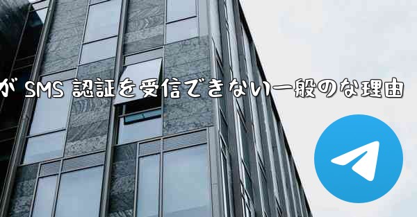 Paper Plane が SMS 認証を受信できない一般のな理由