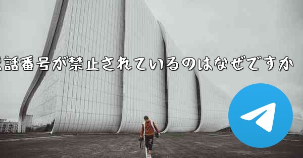 Paper Plane の携帯電話番号が禁止されているのはなぜですか