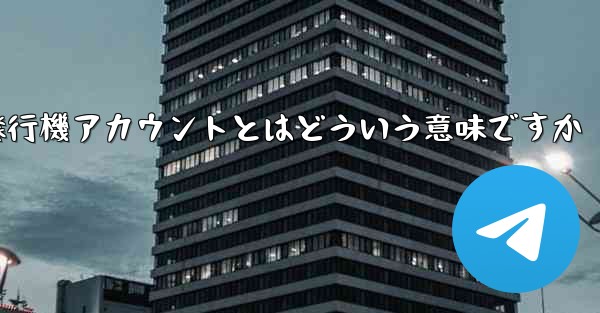 紙飛行機アカウントとはどういう意味ですか
