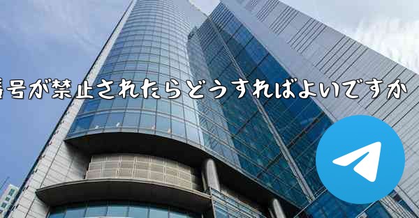 私の紙飛行機の携帯電話番号が禁止されたらどうすればよいですか
