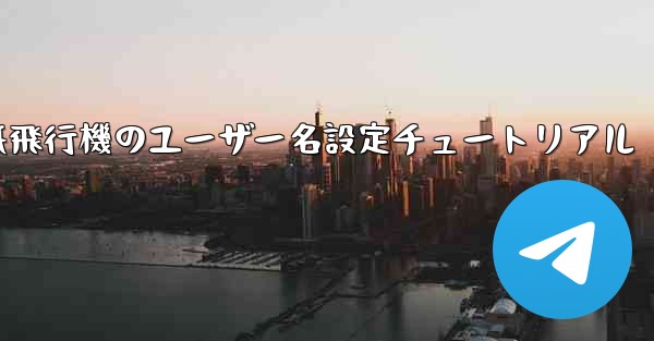 紙飛行機のユーザー名設定チュートリアル