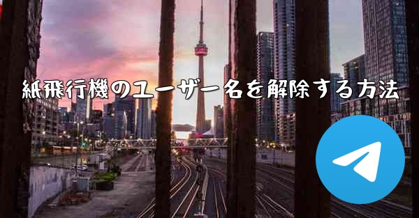 紙飛行機のユーザー名を解除する方法