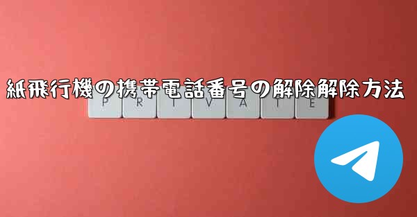 紙飛行機の携帯電話番号の解除解除方法