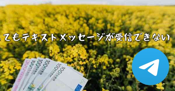 紙飛行機の番号を入力してもテキストメッセージが受信できない