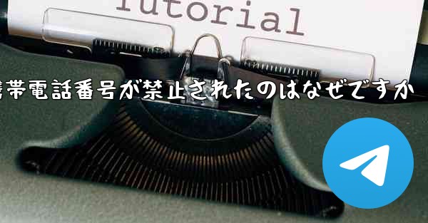 Paper Plane の携帯電話番号が禁止されたのはなぜですか