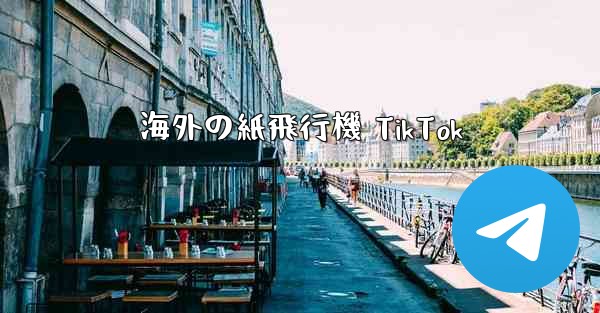 海外の紙飛行機 TikTok