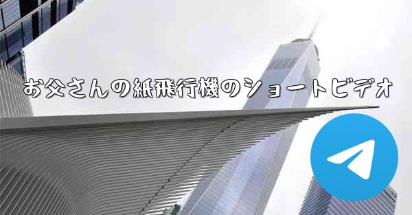 お父さんの紙飛行機のショートビデオ