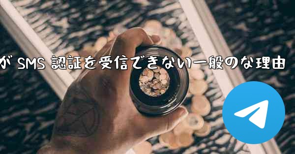 Paper Plane が SMS 認証を受信できない一般のな理由