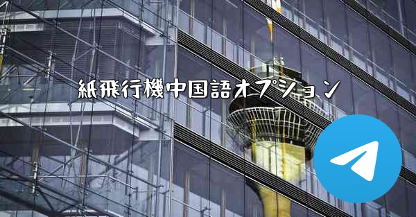 紙飛行機中国語オプション