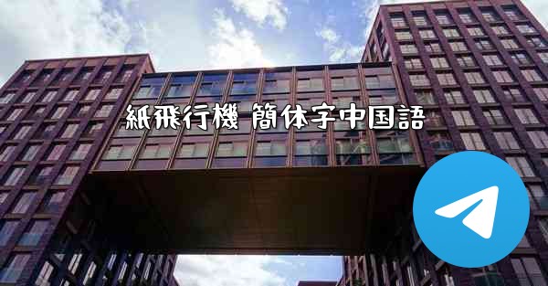 紙飛行機 簡体字中国語
