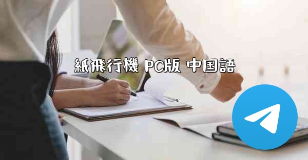 紙飛行機 PC版 中国語