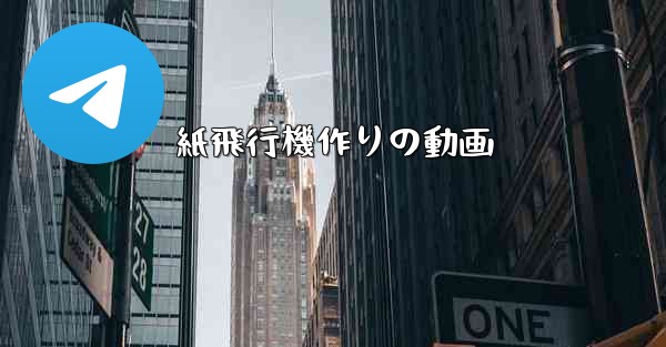 紙飛行機作りの動画