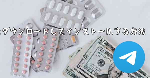 Airplane Apple の中国語版をダウンロードしてインストールする方法