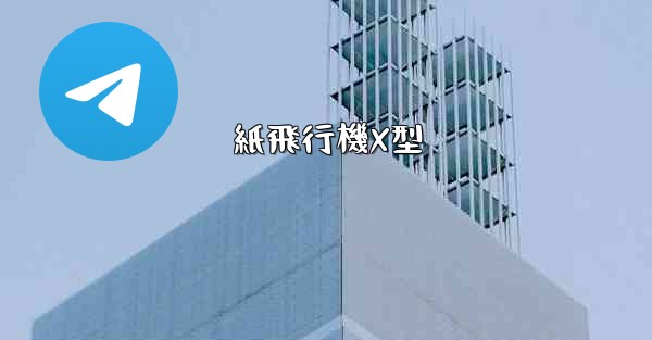 紙飛行機X型