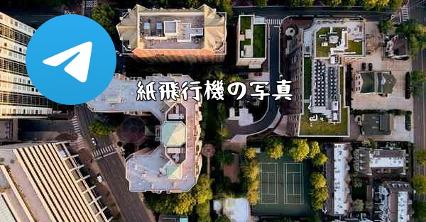 紙飛行機の写真