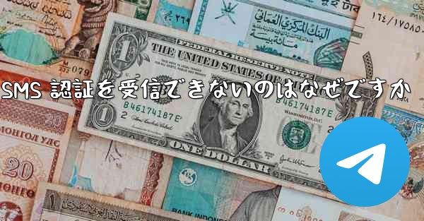 Paper Plane が SMS 認証を受信できないのはなぜですか