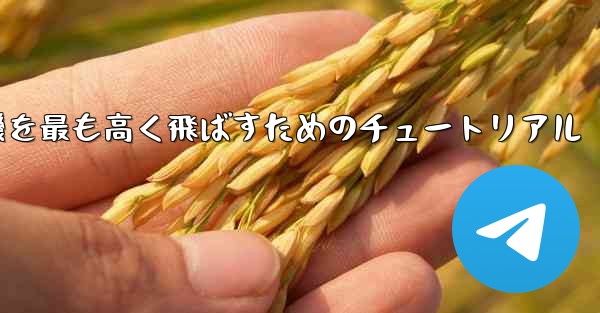 折り紙飛行機を最も高く飛ばすためのチュートリアル