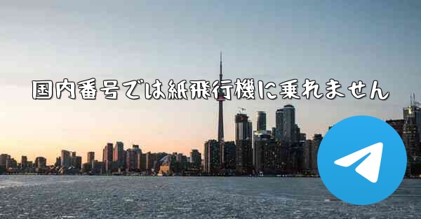 国内番号では紙飛行機に乗れません