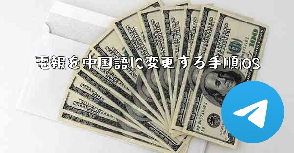 電報を中国語に変更する手順iOS