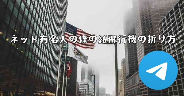 ネット有名人の蝶の紙飛行機の折り方