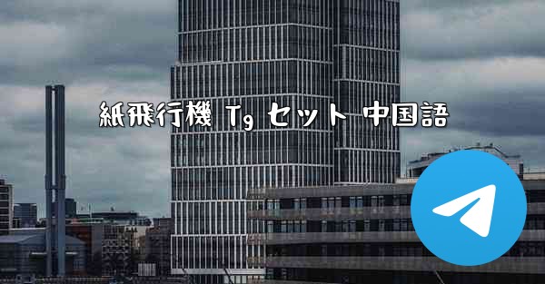 紙飛行機 Tg セット 中国語