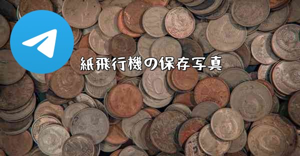 紙飛行機の保存写真